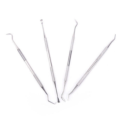 Schoonmaak Picks Stainless Steel