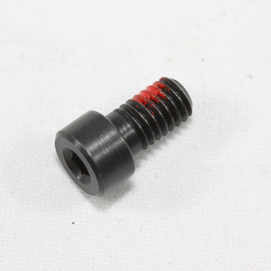 S&W SW22 Victory Take Down Screw