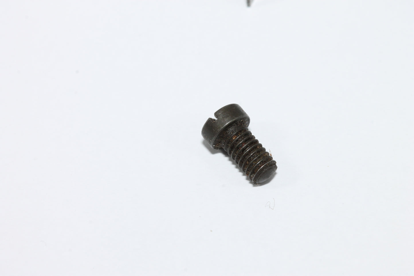 Lee Enfield N.4 Safety Screw